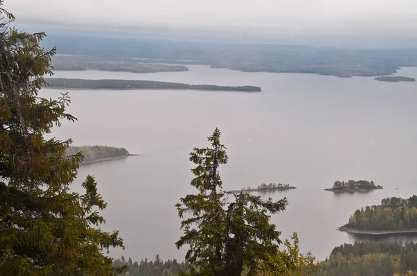 フィンランドの北カレリア州にある湖 — ストック写真