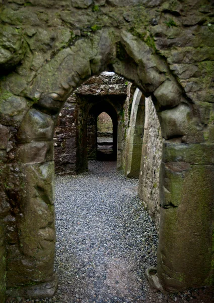 Vue Travers Porte Abbaye Quin Irlande — Photo