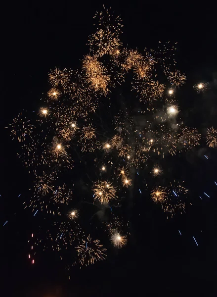 Beautiful Festive Fireworks Night Sky — Stock Photo, Image