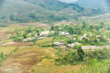 Pirinç tarlası terasları. Bulutlardaki dağ manzarası. Sapa, Lao Cai Eyaleti, Kuzeybatı Vietnam