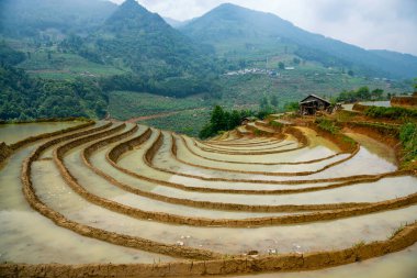 Pirinç tarlası terasları. Bulutlardaki dağ manzarası. Sapa, Lao Cai Eyaleti, Kuzeybatı Vietnam
