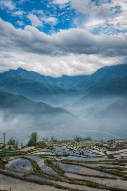 Pirinç tarlası terasları. Bulutlardaki dağ manzarası. Sapa, Lao Cai Eyaleti, Kuzeybatı Vietnam