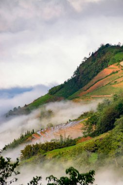 Pirinç tarlası terasları. Bulutlardaki dağ manzarası. Sapa, Lao Cai Eyaleti, Kuzeybatı Vietnam