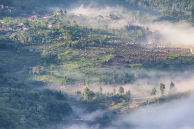 Pirinç tarlası terasları. Bulutlardaki dağ manzarası. Sapa, Lao Cai Eyaleti, Kuzeybatı Vietnam