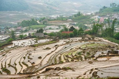 Pirinç tarlası terasları. Bulutlardaki dağ manzarası. Sapa, Lao Cai Eyaleti, Kuzeybatı Vietnam