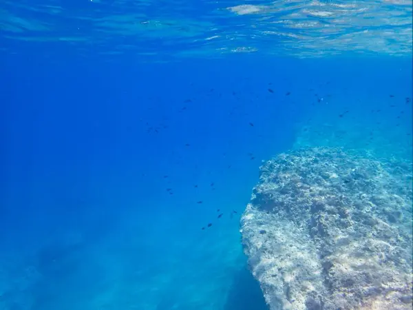 Красивый Фон Подводного Мира — стоковое фото