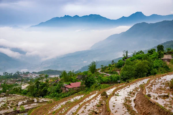 田んぼのテラス 雲の中に山の景色 ラオス蔡州 ベトナム北西部 — ストック写真
