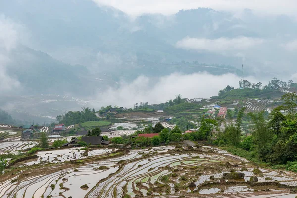 稻田梯田云中的山景 Sapa Lao Cai Province North West Vietnam — 图库照片