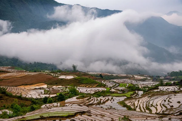 stock image Rice field terraces. Mountain view in the clouds. Sapa, Lao Cai Province, north-west Vietnam