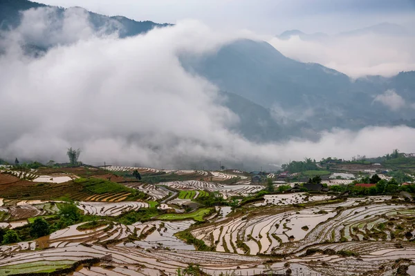 Террасы Рисовым Полем Вид Горы Облаках Сапа Провинция Лао Цай — стоковое фото