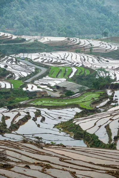 Rýžové Terasy Pohled Hory Mracích Sapa Provincie Lao Cai Severozápadní — Stock fotografie