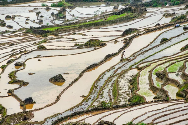 Rýžové Terasy Pohled Hory Mracích Sapa Provincie Lao Cai Severozápadní — Stock fotografie