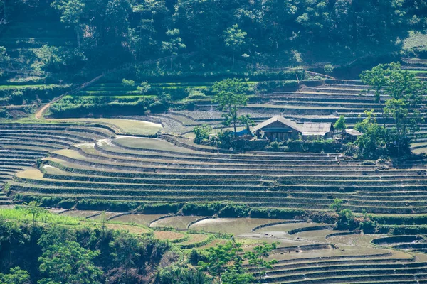 Красота Рисовых Террас Муонг Хуме Лаокай Вьетнам — стоковое фото