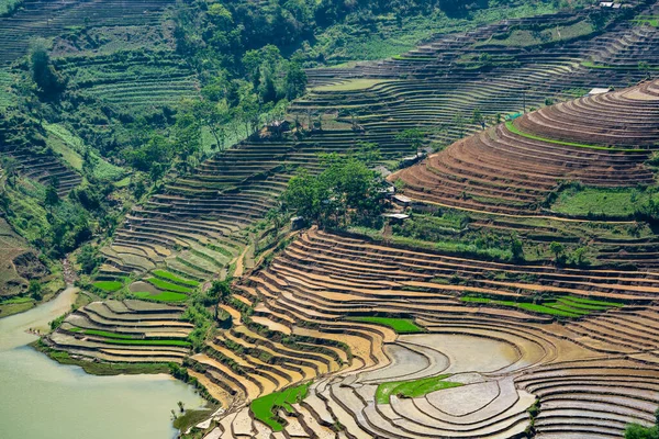 Piękno Tarasów Ryżowych Muong Hum Lao Cai Wietnam — Zdjęcie stockowe