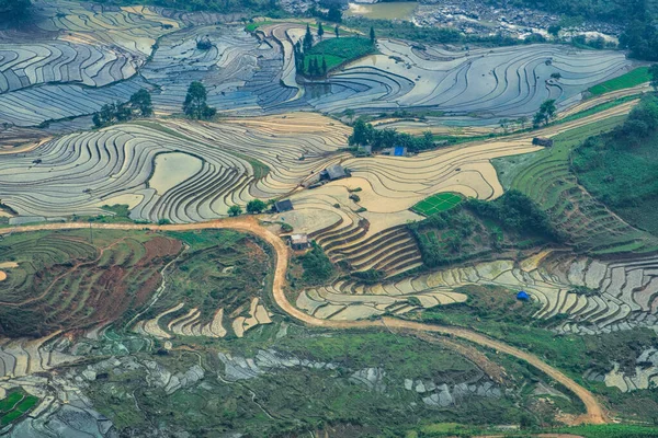 Террасы Рисовым Полем Вид Горы Облаках Сапа Провинция Лао Цай — стоковое фото