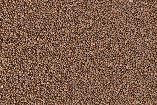 Арабика Жареный Кофе Зернах Кофеин Коричневый Семена — стоковое фото