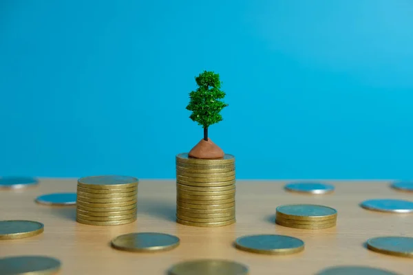Financial Investment Growing Money Tree Coin Stack — Stockfoto