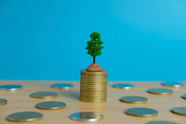 Financial Investment Growing Money Tree Coin Stack — Stockfoto