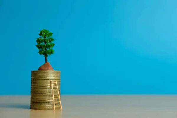 Miniatuur Business Concept Stap Ladder Naar Financiële Groei Illustratie Foto — Stockfoto