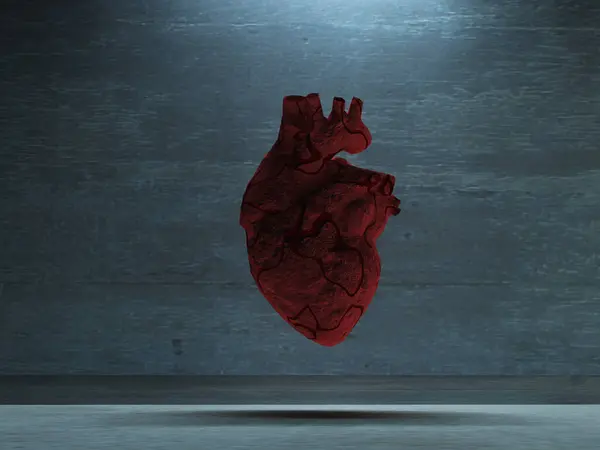 Corazón Humano Imagen Colorida —  Fotos de Stock