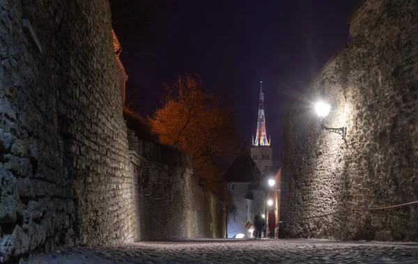Landmarks Estonian Capital — 图库照片