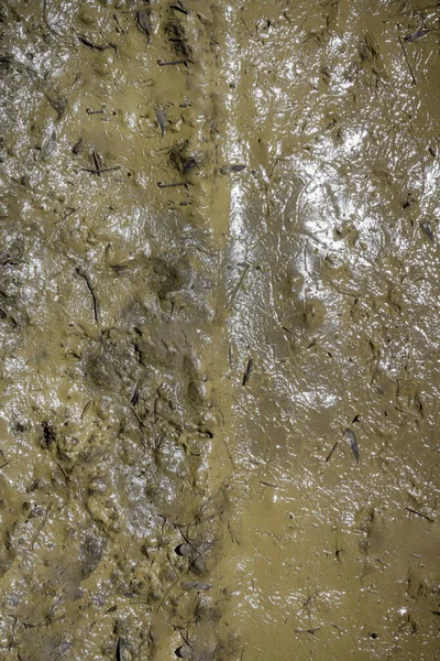 抽象的创作背景 泥浆的结构 — 图库照片