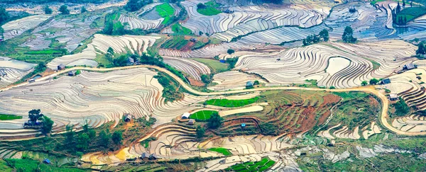 Beautiful Terraced Rice Field Water Pulling Season Bat Xat Lao — Stock Photo, Image