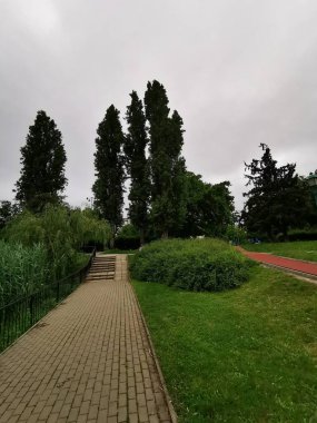 Binanın kenarında ağaçlar olan bir patika.