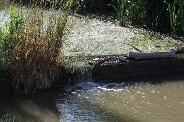 Nehirden akan su, doğa