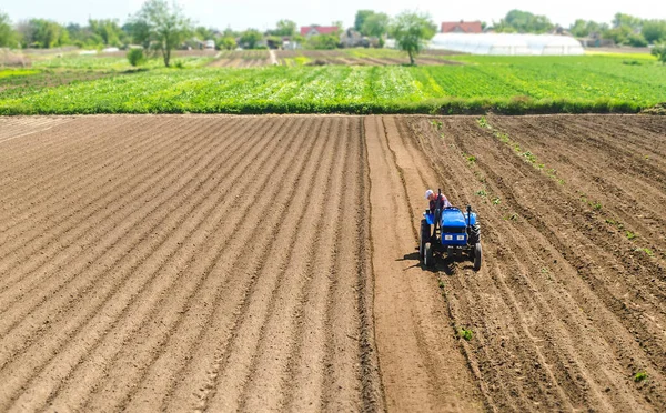 拖拉机上的农民在农田里开车 农业和农产企业 种植蔬菜 为农业需要加工和改造土壤 提高土地的质量 — 图库照片