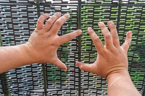 Hands Locked Man Cage Trying Escape Bars — Stock Photo, Image