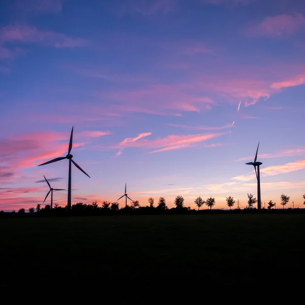 Wind Turbines Trees Form Silhouettes Colorful Sunset — Stock Photo, Image