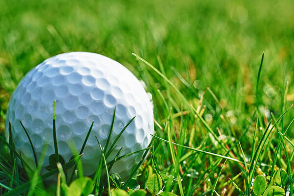 Golf ball on the green grass field