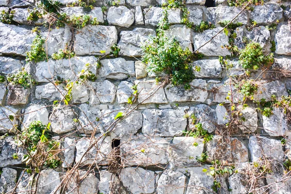 Old Grungy Gray Stone Wall Texture — Stock Photo, Image