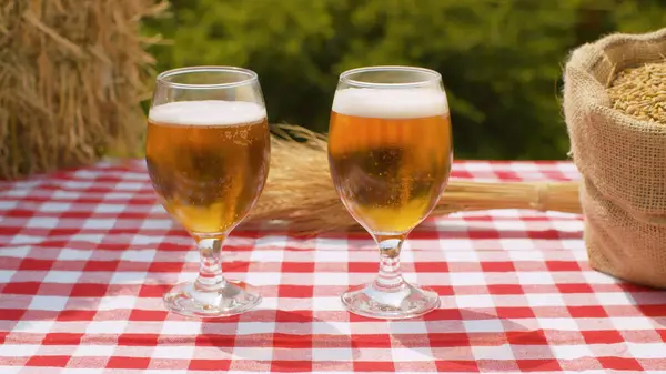 Dos Vasos Cerveza Granos —  Fotos de Stock