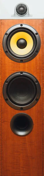 Floorstanding Audio Speaker Close View — Stock Photo, Image