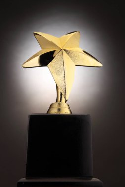 Şampiyonluk ödülünün yakın plan görüntüsü  