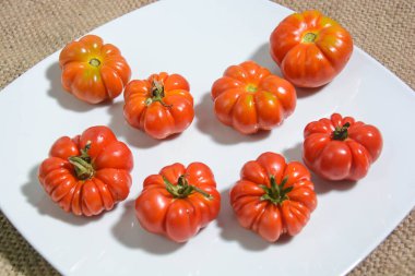 Taze olgun organik domateslerin yakın plan görüntüsü 