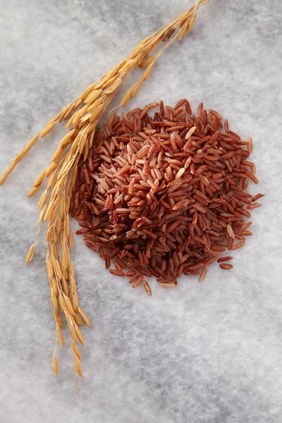 Brown Rice Paddy Close — Stock Photo, Image