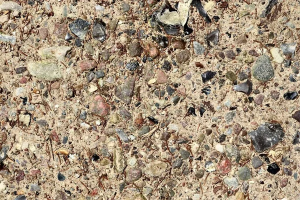 关于砾石地上的卵石和石头的详细近景 — 图库照片