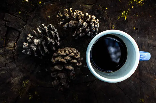 Cup Coffee Pine Cones — Stock Photo, Image