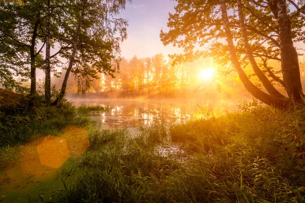 Złoty Mglisty Wschód Słońca Nad Stawem Jesienią Rano Drzewa Promieniami — Zdjęcie stockowe