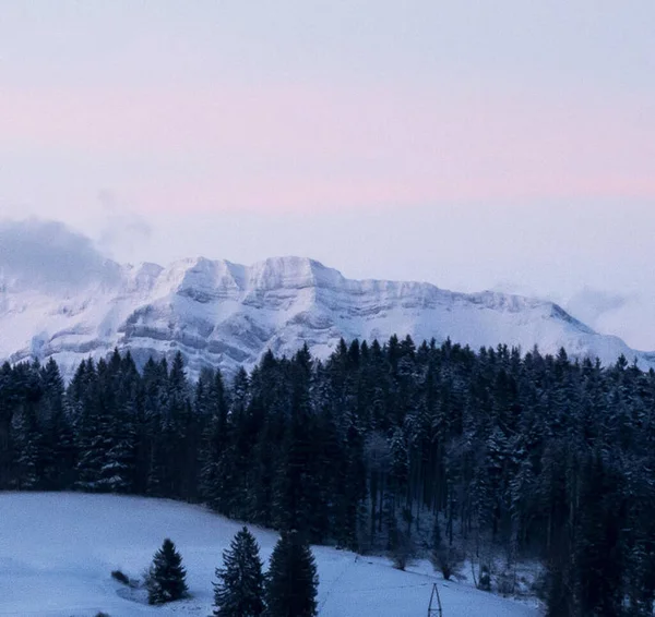 Beautiful Picture Switzerland Nature Background — Stockfoto