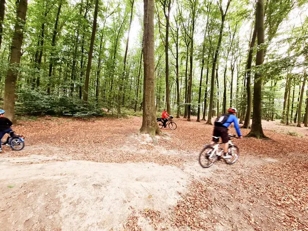 Sportowy Rodzinny Rower Lesie — Zdjęcie stockowe