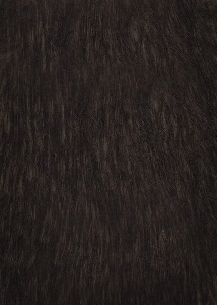 Pieu Brun Aux Cheveux Lisses Sur Manteau Fausse Fourrure Texture — Photo