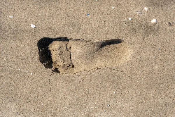 Ślady Stóp Człowieka Piaszczystej Plaży Widok Bliska — Zdjęcie stockowe