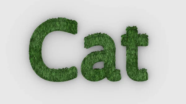 Cat Slovo Zelená Bílém Pozadí Vykreslování Chlupatých Písmen Kočičí Kožešiny — Stock fotografie