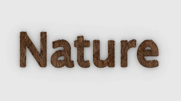 Doğa Beyaz Arka Planda Kahverengi Kelime Taze Çim Harfleri Izole — Stok fotoğraf