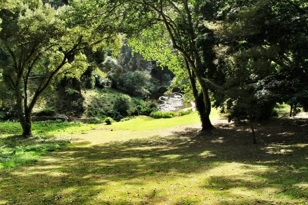 Jardines Hojas Verdes Sintra — Foto de Stock