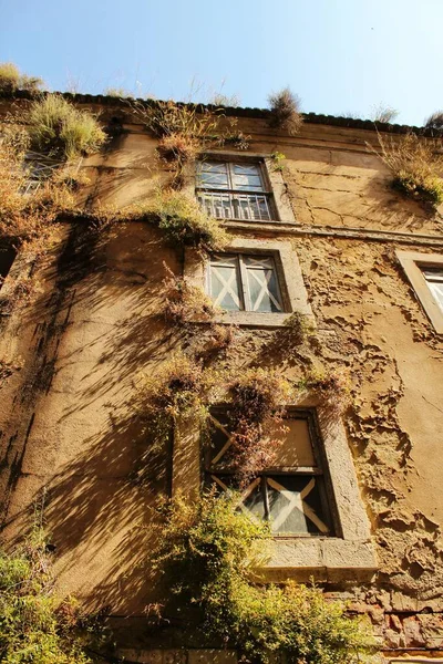 Old Facade Plants Street Lisbon — Stok fotoğraf